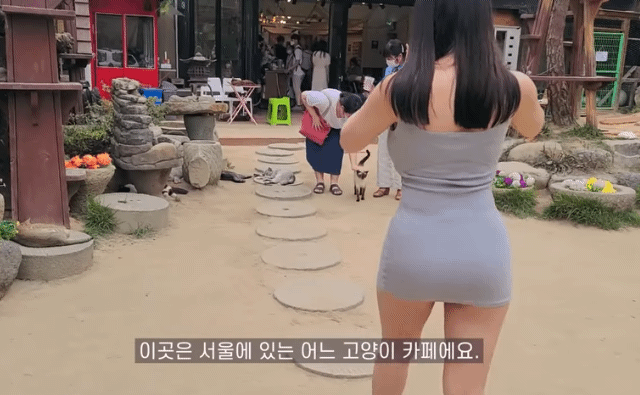 반박불가 한국 유튜버 몸매 甲 ㄷㄷ