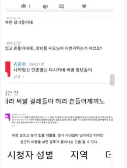 유명 연예인 성희롱 댓글은 대부분 한국 남자들이 단다